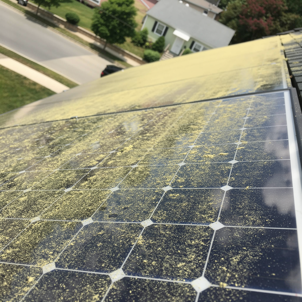 Before: Solar panels with bird droppings in Cheshire, CT